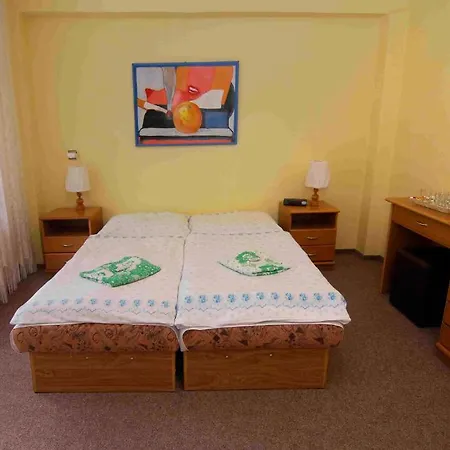 Hotel Litvor